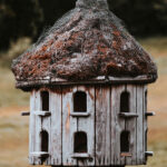 Dried Botanics Pressed into Fauna